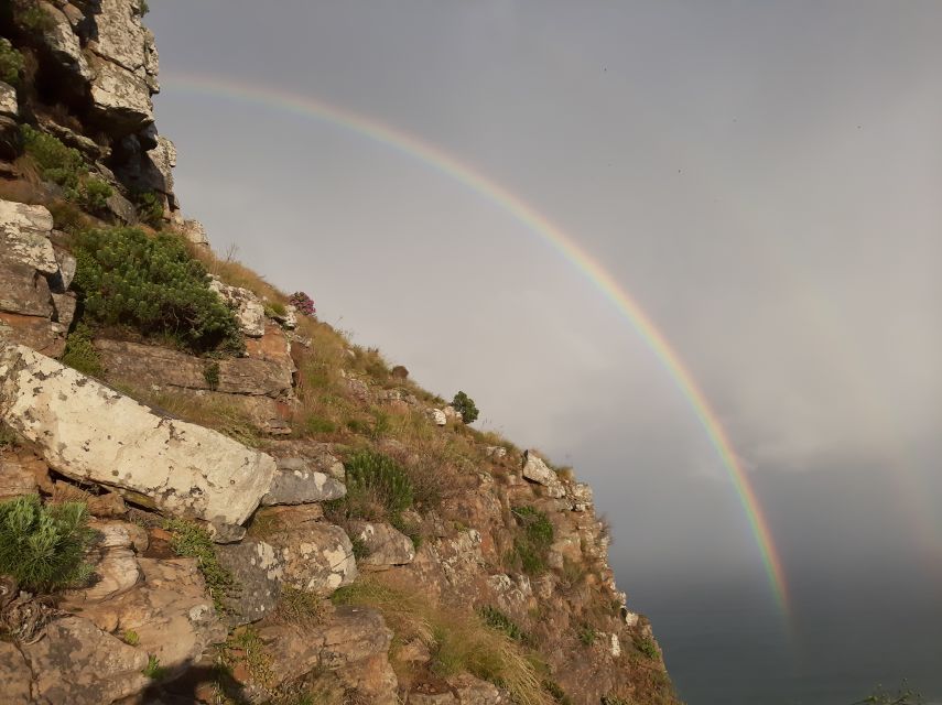 Cape Town: Lion's Head Sunrise or Sunset Hike - Key Points