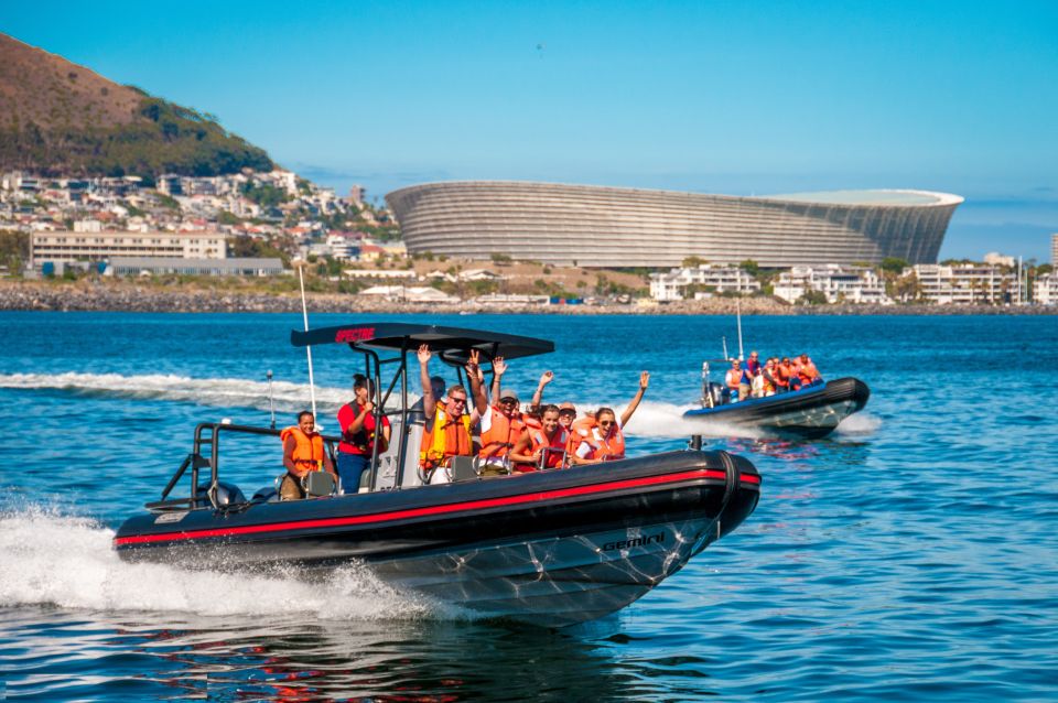 cape town ocean safari speed boat adventure in table bay Cape Town Ocean Safari: Speed Boat Adventure in Table Bay