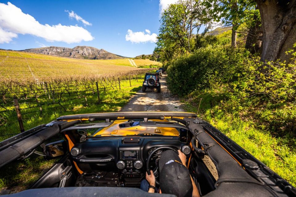 Cape Town: Private Jeep Constantia Wine Tour With Tastings - Just The Basics
