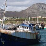cape town shark diving at gansbaai harbor private tour Cape Town: Shark Diving at Gansbaai Harbor Private Tour
