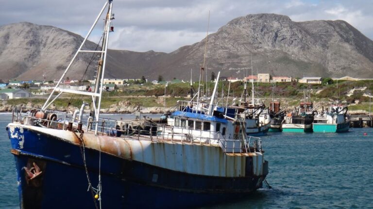 Cape Town: Shark Diving at Gansbaai Harbor Private Tour