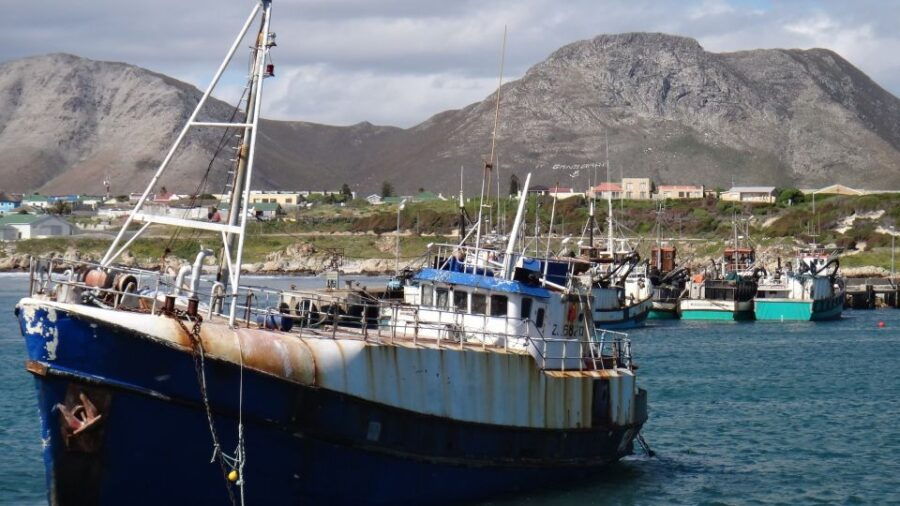 cape town shark diving at gansbaai harbor private tour Cape Town: Shark Diving at Gansbaai Harbor Private Tour