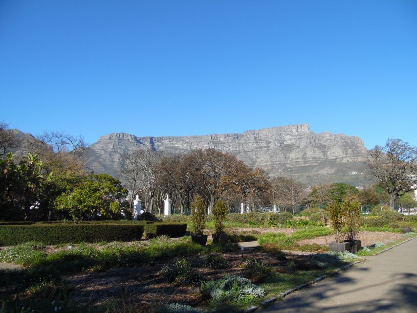Cape Town: Spectacular Botanical Gardens With Guided Tour - Key Points
