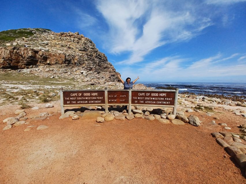 Cape Town: Table Mountain and Penguins Private Guided Tour - Just The Basics