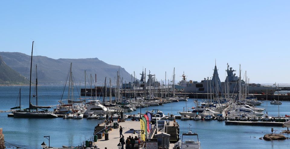 Cape Town: Table Mountain, Penguins & Cape Point Group Tour - Key Points