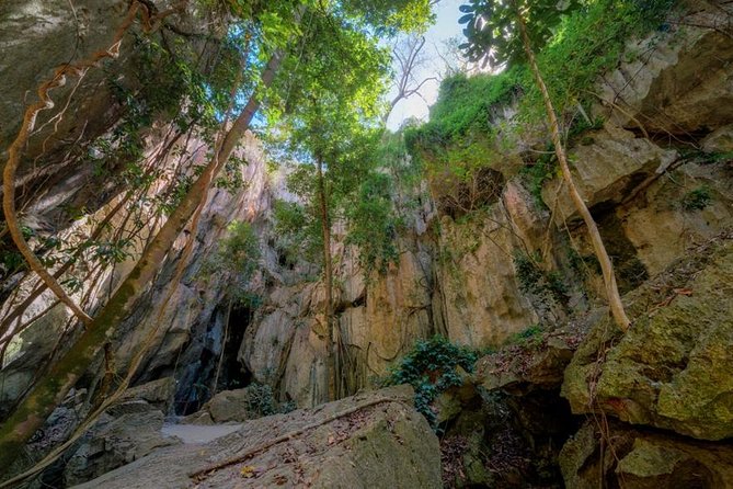 Capricorn Caves Cathedral Cave Tour - Just The Basics