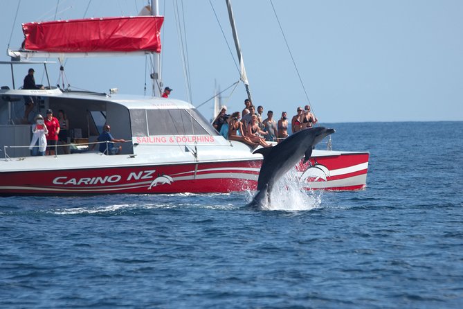 Carino Wildlife Cruises - Island and Wildlife Day Cruise - Key Points