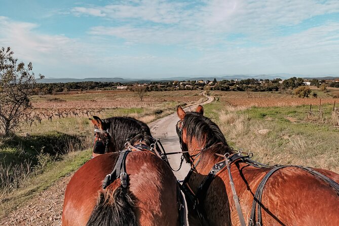 Carriage Rides, Pays De Sommières - Key Points