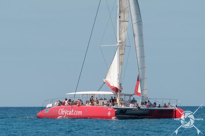 Catamaran Half-Day Cruise From Caleta De Fuste - Key Points