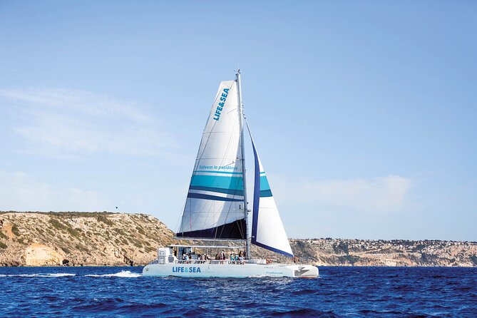 Catamaran With BBQ in the Bay of Palma - Key Points