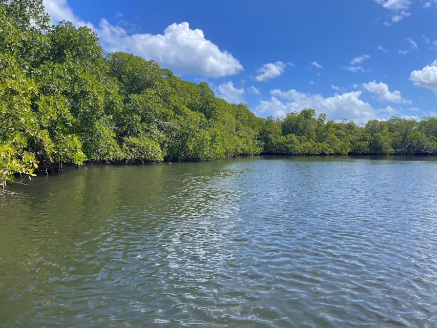 Cayo Arena: Paradise Island and Mangroves Private Tour - Just The Basics