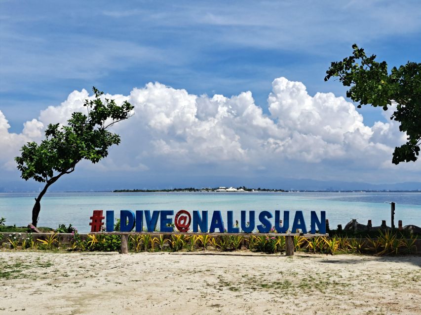 Cebu Nalusuan Island & Marine Sanctuary Joiners Tour - Key Points