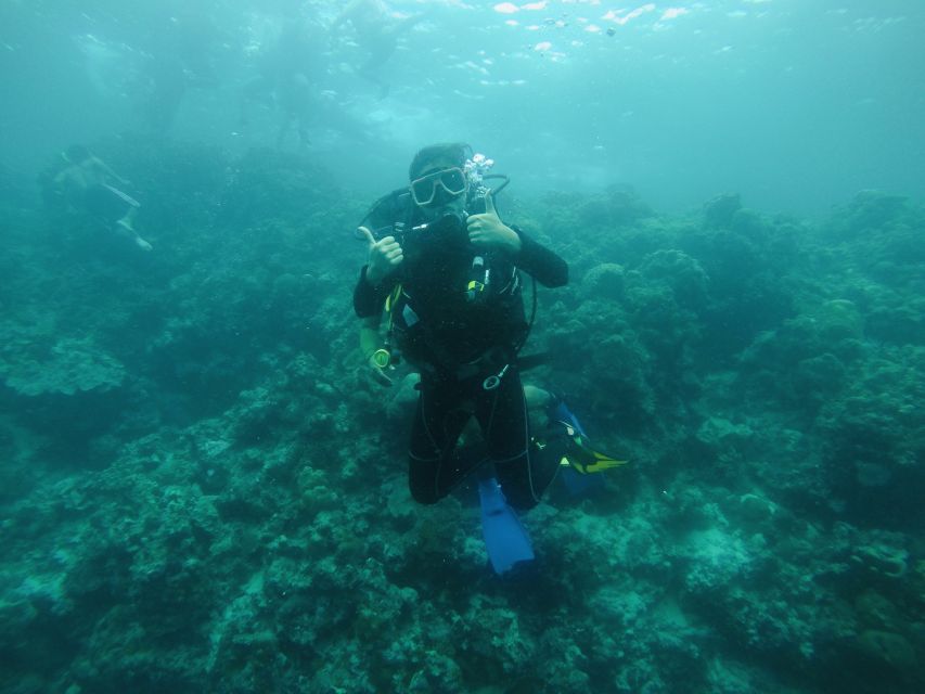 Cebu: Scuba Diving With Sardines and Pescador Island Snorkel - Key Points