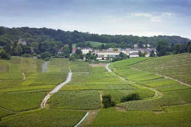 Champagne Region Private Day Trip From Paris - Just The Basics