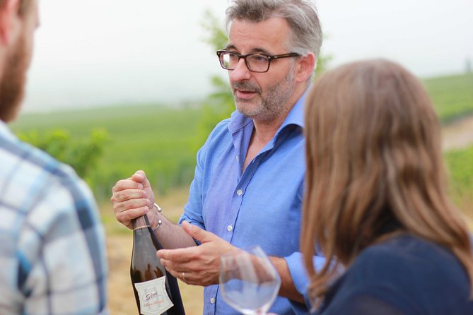 Champagne VIP Day Trip From Paris With Local PRIVATE Wine Expert Guide - Just The Basics