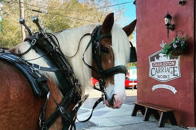 Charlestons Historic Residential Horse and Carriage Tour - Just The Basics