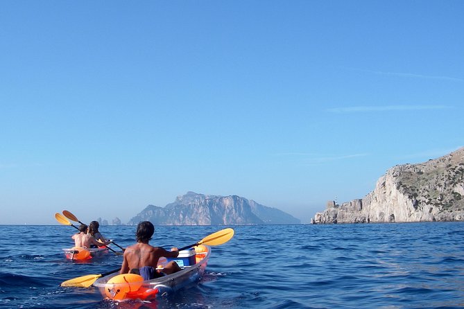 Chasing Syrens Transparent Kayak Tours - Key Points