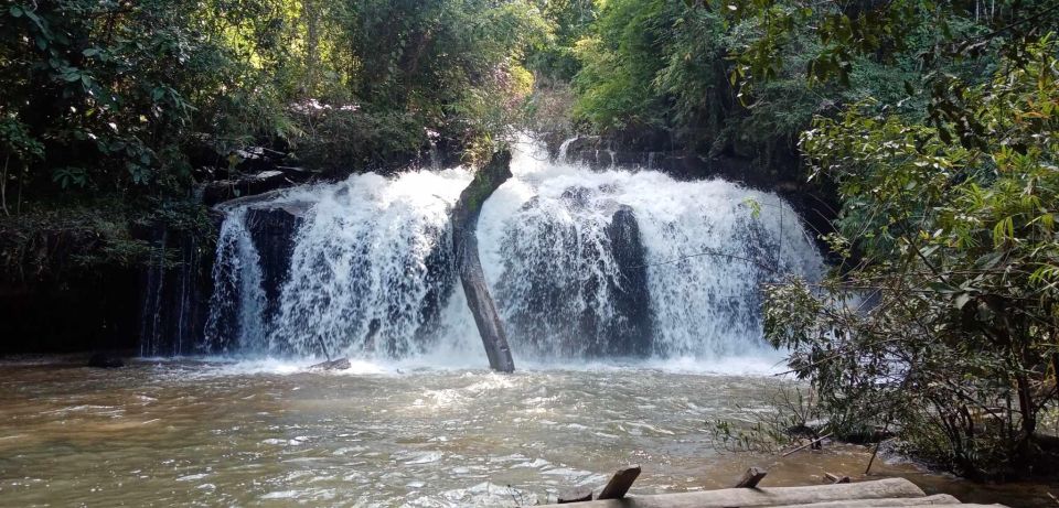 Chiang Mai: 2-Day Jungle Trek With Elephant Farm & Raft Ride - Key Points