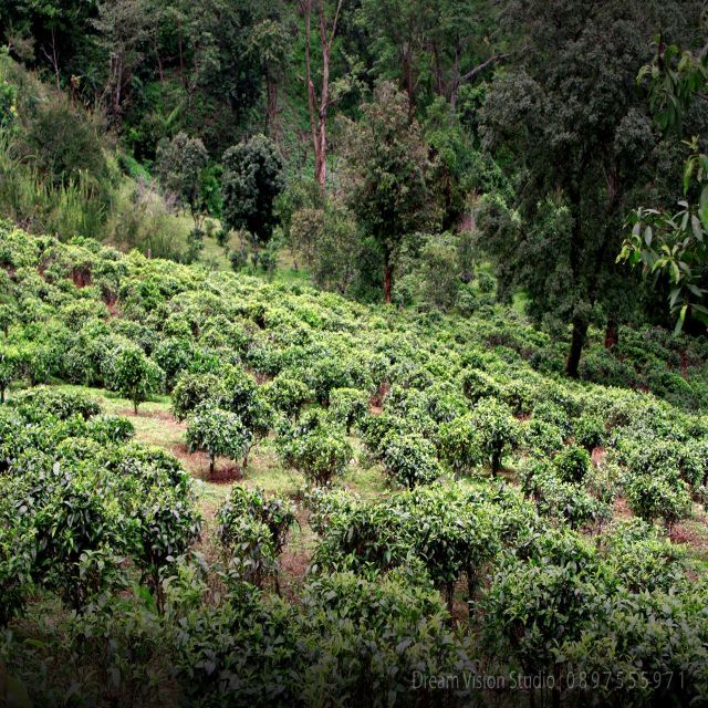 Chiang Mai: 2 Days 1 Night Homestay Community Base Tourism - Key Points