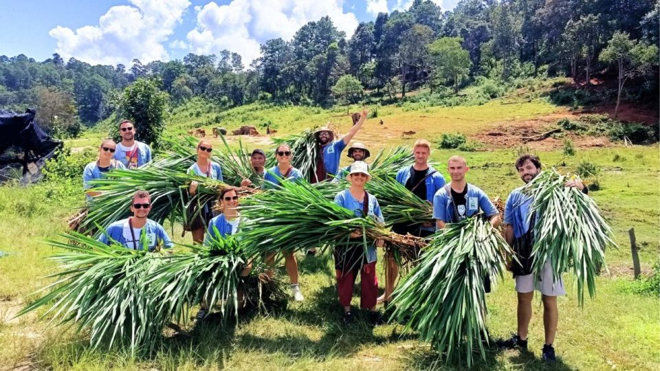 Chiang Mai: Doi Inthanon and Elephant Sanctuary Tour & Hike - Key Points