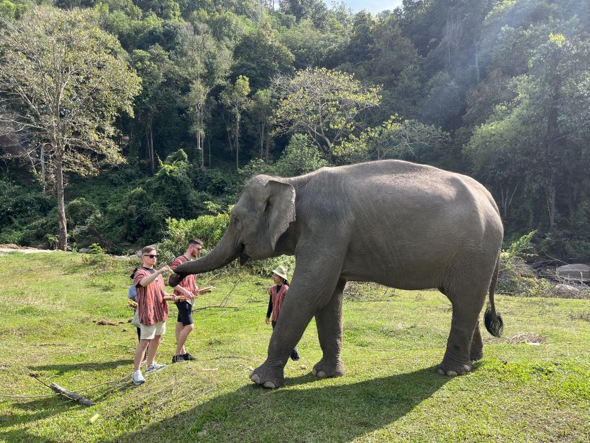 Chiang Mai: Doi Inthanon and Elephant Sanctuary Tour - Key Points