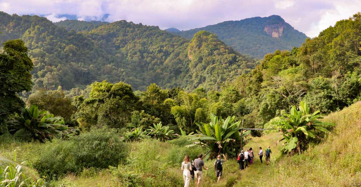 Chiang Mai: Doi Inthanon Highlights and Hiking Private Tour - Key Points