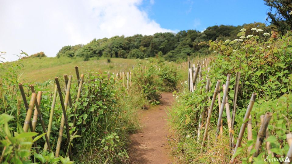 Chiang Mai: Doi Inthanon Park Day Trip With Kiw Mae Pan Hike - Key Points