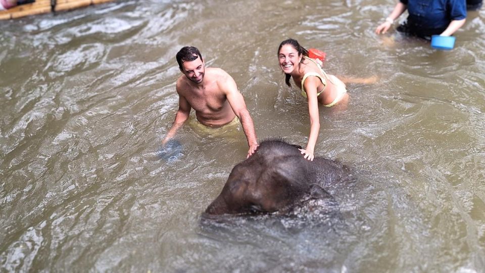 Chiang Mai: Elephant Sanctuary Interactive Tour - Key Points