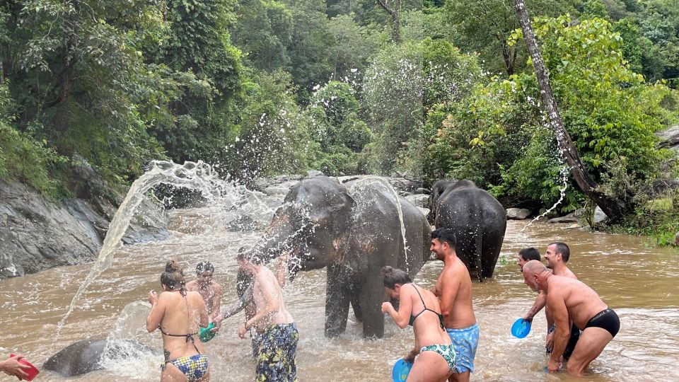 Chiang Mai: Elephant Sanctuary & Waterfall Group Tour - Key Points