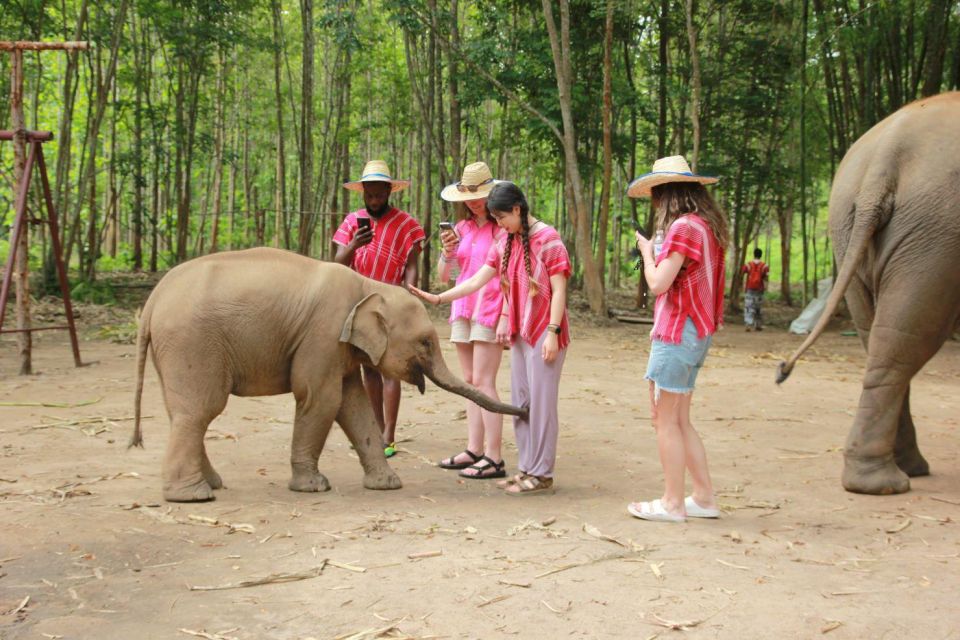 Chiang Mai: Full-Day Kerchor Elephant Eco Park Tour & Trek - Key Points