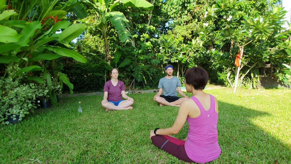 Chiang Mai: Full-Day Yoga & Meditation Experience With Lunch - Key Points