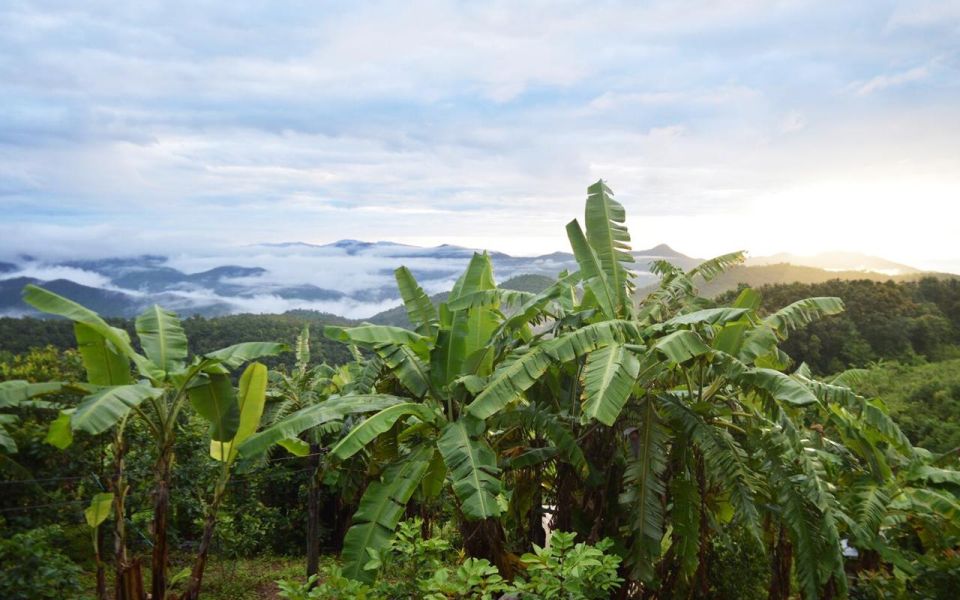 Chiang Mai: Mae Wang One Day Trekking - Key Points