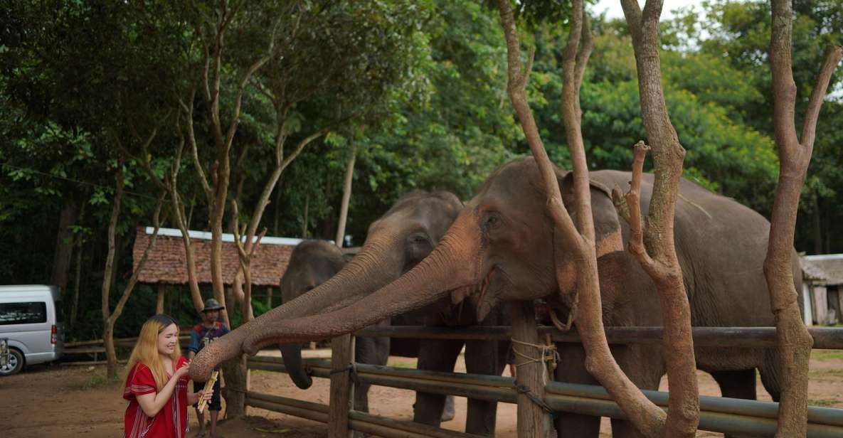 Chiang Mai: National Elephant Care & Rafting/Ziplines Trip - Key Points