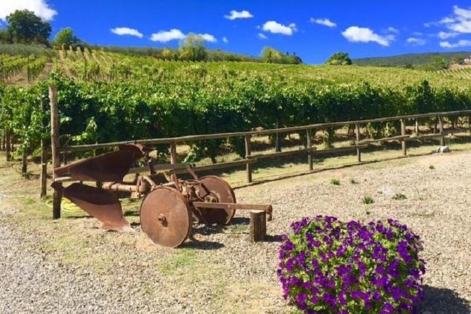 Chianti Wine and Vinci Half Day Small Group Tour From Montecatini Terme - Key Points