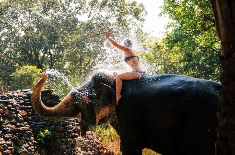Chitwan Jungle Safari With Elephant Bath (Exclusive Tour) - Key Points