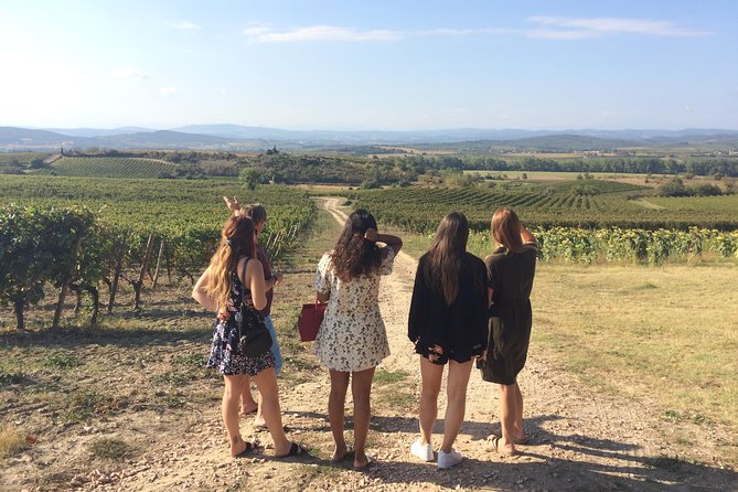 Cité De Carcassonne and Wine Tasting Private Day Tour From Toulouse - Key Points