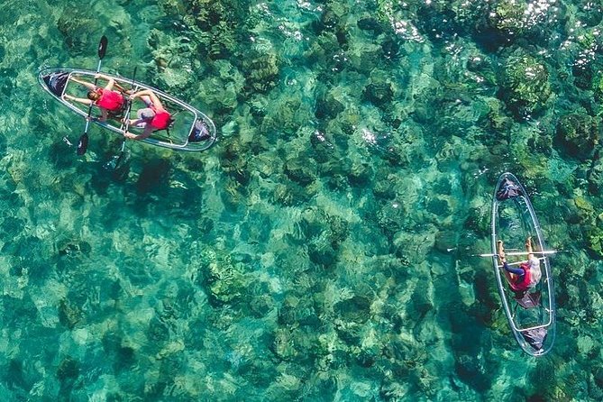 Clear Kayak and Snorkel Tour at Turtle Town, Makena - Just The Basics