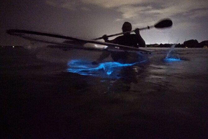 Clear Kayak Bioluminescence Tour - Key Points