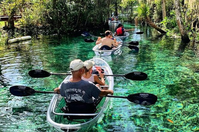 Clear Kayak Tour of Crystal River - Just The Basics