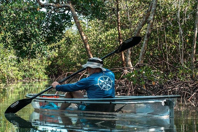 Clear Kayak Tours in Fort Pierce - Just The Basics