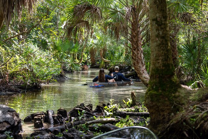 Clear Kayak Tours on Chassahowitzka River - Just The Basics