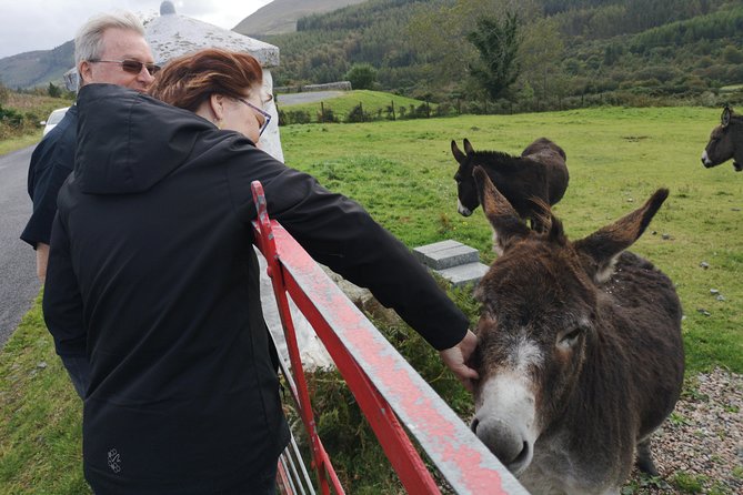 Cliffs of Moher and Galway Bay Private Tour With Local Guide  - Dublin - Key Points