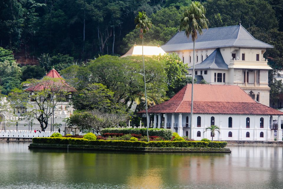 Colombo or Negombo: Temple of the Tooth Kandy Day Trip - Key Points