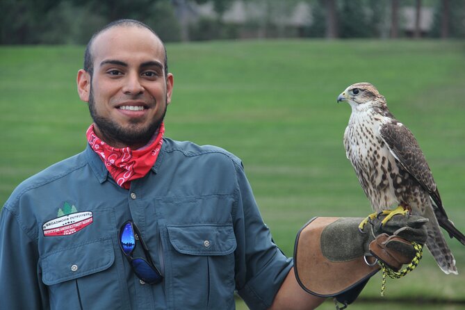 Colorado Springs Hands-On Falconry Class and Demonstration - Key Points