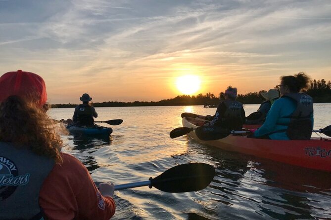 Comb Jelly Bioluminescence Kayak Tour - Just The Basics