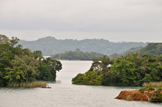 Combo: Gatun Lake & Canal Wildlife Boat Tour and Sloth Sanctuary - Key Points