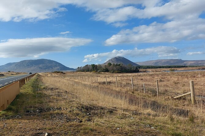 Connemara, Kylemore Abbey, Ross Errily and Sky Road Private Tour From Galway - Tour Inclusions