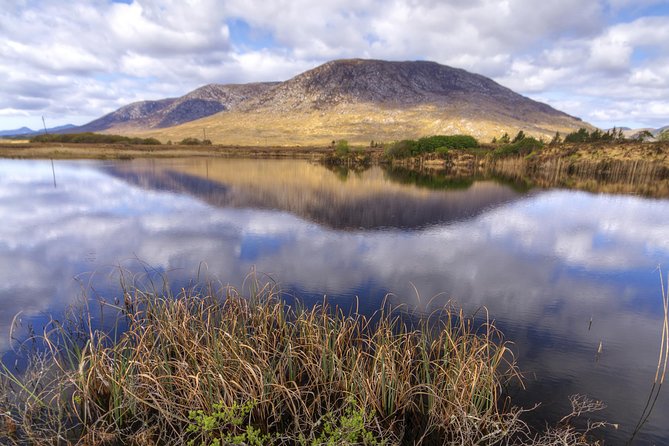 Connemara National Park, Beach & Blanket Bog Ecology Walk. Private Full-Day - Tour Details