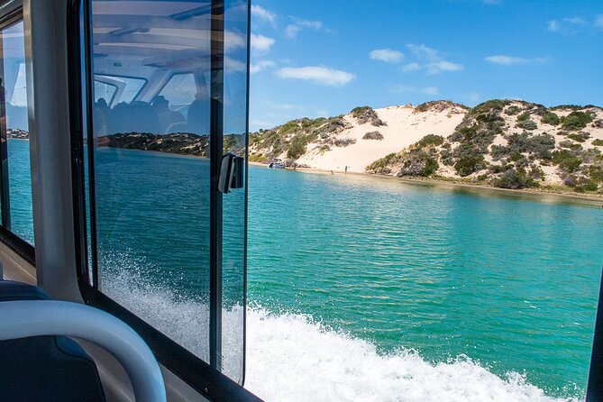 Coorong 6-Hour Adventure Cruise - Just The Basics