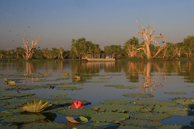 Corroboree Billabong Wetland Cruises - 2 Hour Sunset Cruise - Just The Basics